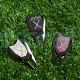 Personalized Golf Ball Marker Divot Tool 