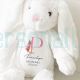 Personalised Bunny Rabbit New Baby Gift Girls and Boys Teddy