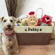 Personalized Foldable Pet Toy Storage Basket 