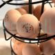 Custom Egg Carton Stamp | Farm Egg Stamp | Personalized Farm Logo Stamp