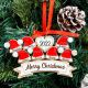 Santa Hat Style Engraved Christmas Family Ornament with Family Members